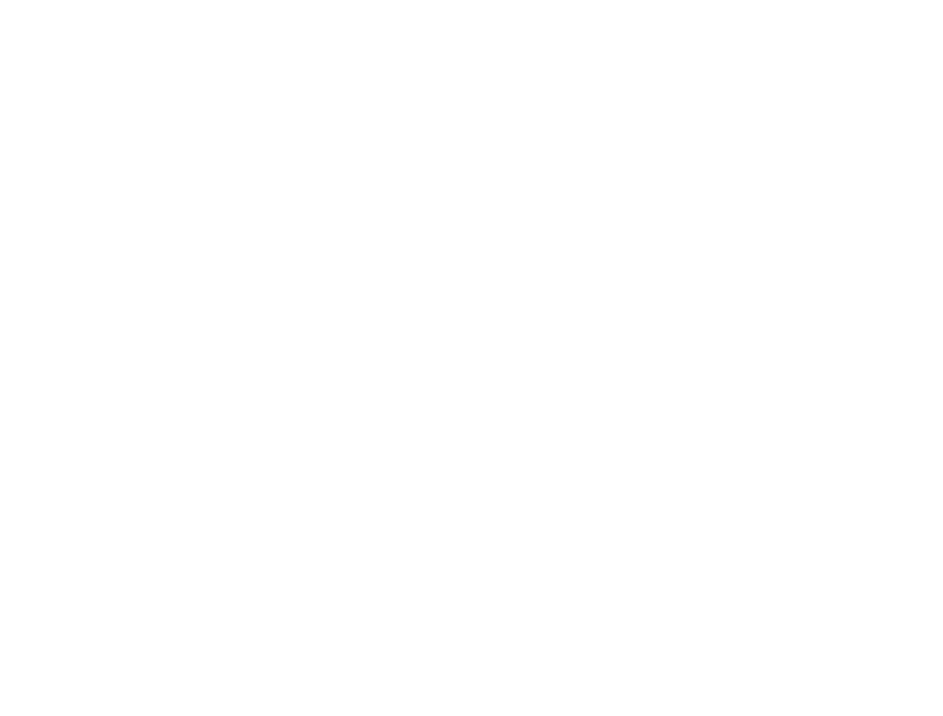 Agencia Fi